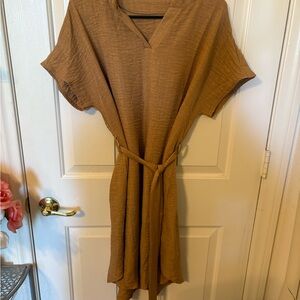 Brown V-Neck Belted Dress